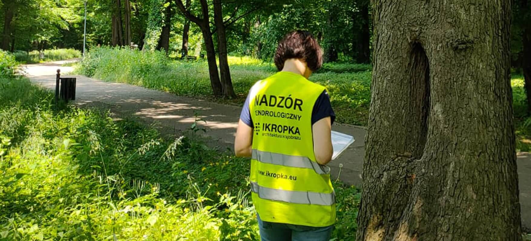 Przegląd drzewostanu pod kątem bezpieczeństwa na terenie Parku Miejskiego oraz Cmentarza Komunalnego w Prudniku.